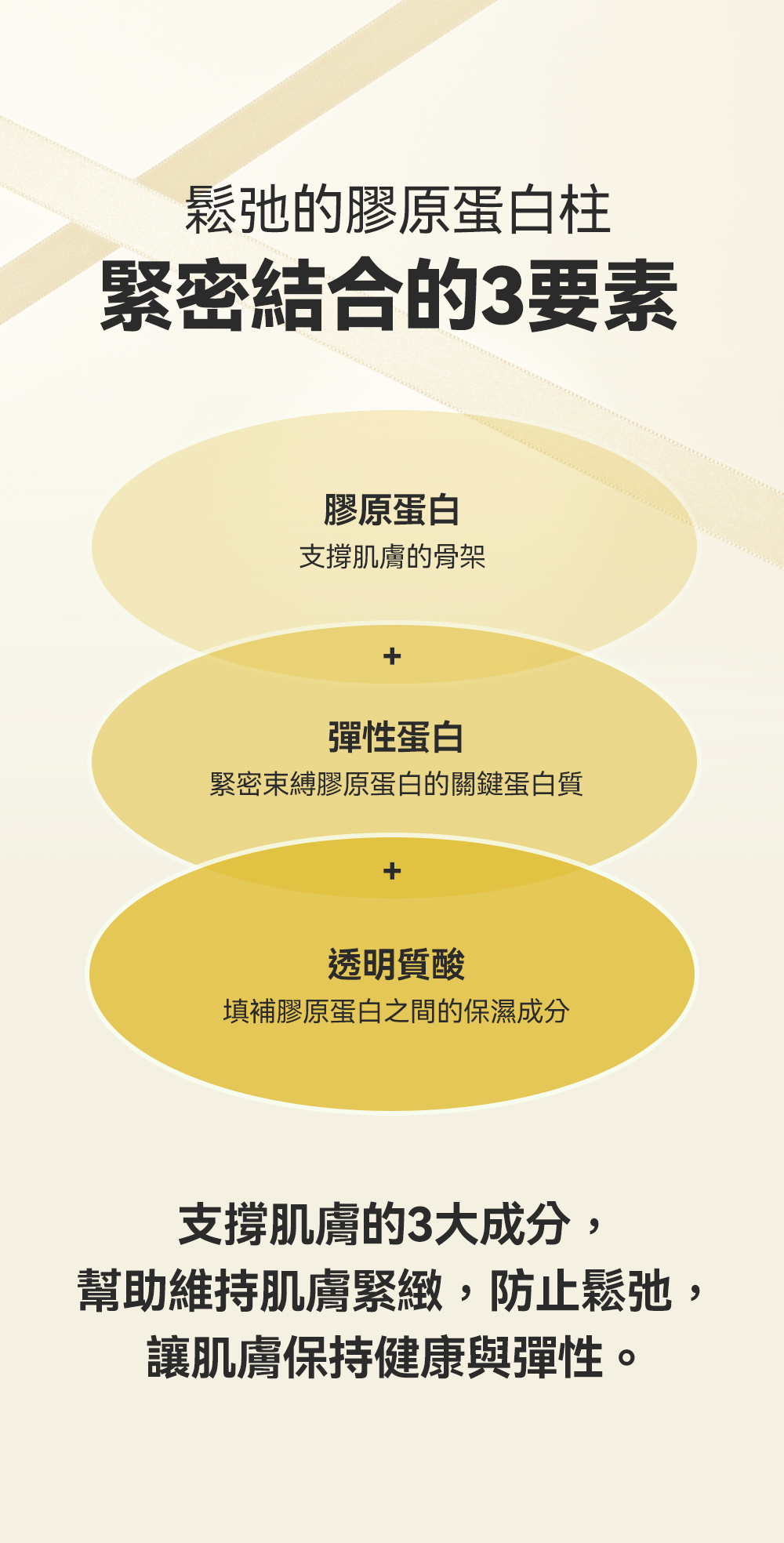 送寵物小精靈包包✨Sungboon Editor Silk Peptide Intensive Lifting Ampoule 專業級絲蛋白多胜肽x EGF 雙重修護高濃縮密集拉提安瓶精華🥚