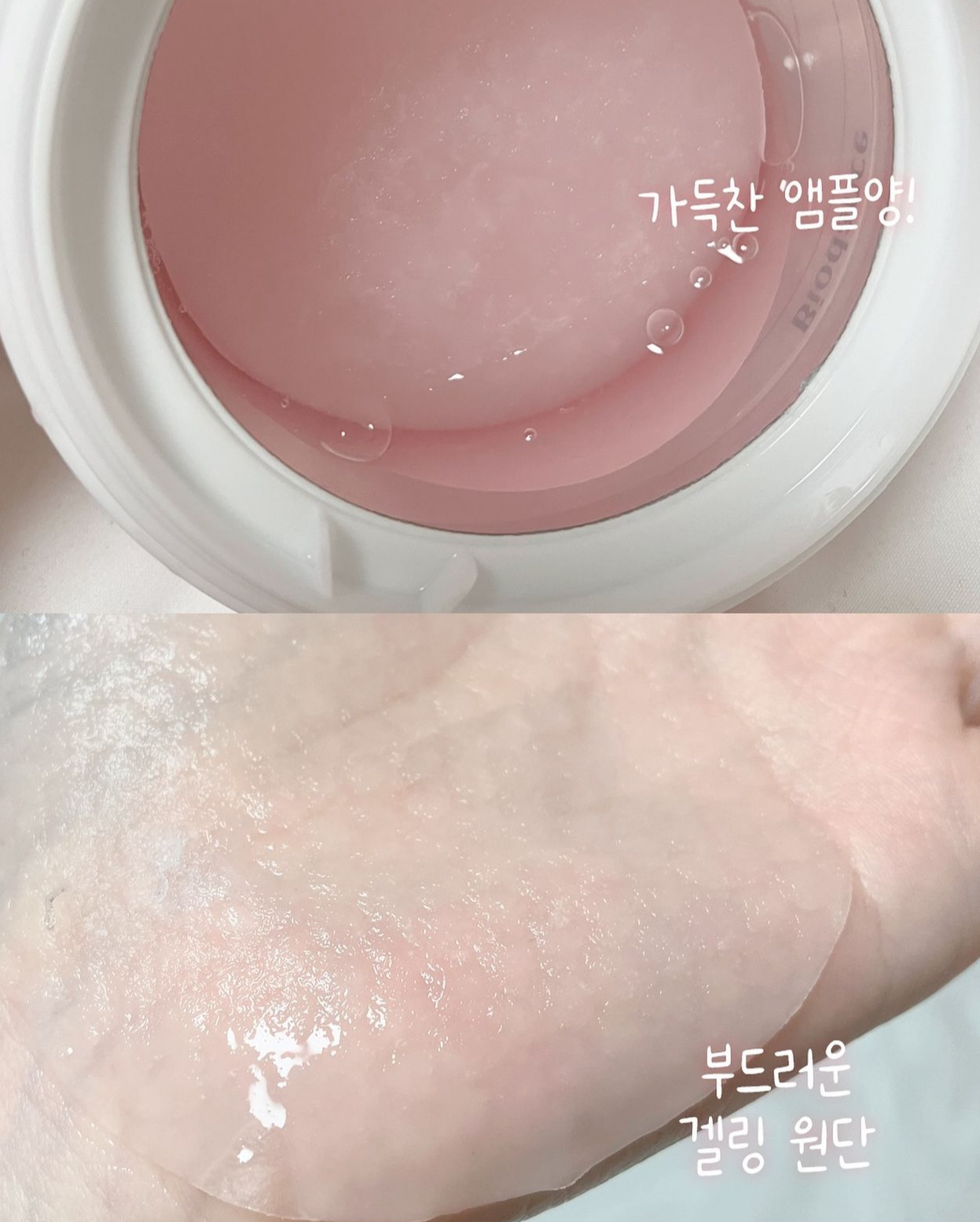凝膠棉片🫧BIODANCE 生物膠原蛋白緊緻彈潤凝膠棉片 | BIODANCE Bio Collagen Gel Toner Pads🥚