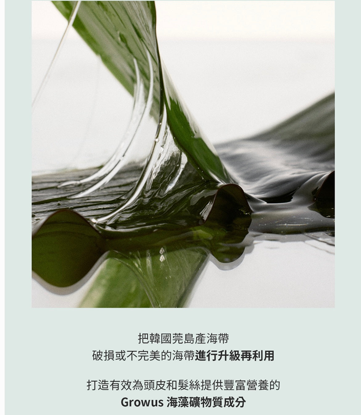 GROWUS 海藻修護礦物質洗髮液🌿| GROWUS Algae Therapy Mineral Shampoo💚