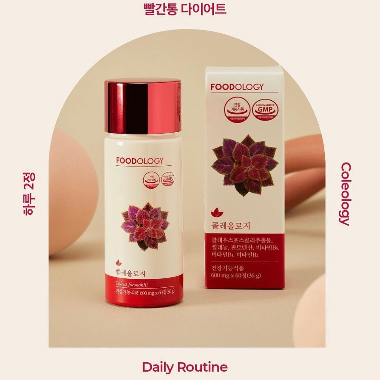 少時徐賢代言🙋🏼♀️Foodology毛喉鞘蕊花維他命營養燃脂能量丸❤️🔥| Olive Young大賞纖體No.1🏆| 韓國No.1人氣減脂睡眠片