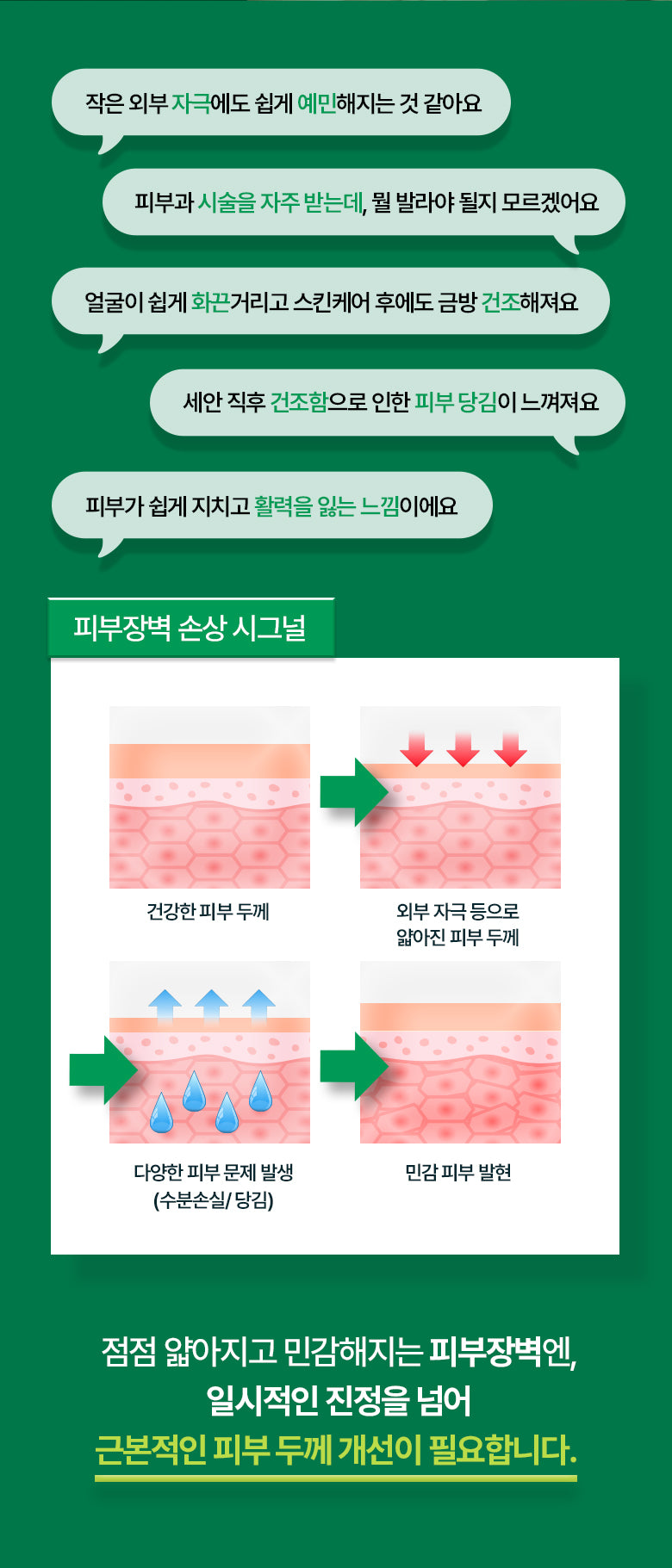 BOH 修復積雪草泛醇急救安瓶噴霧🌿| Bio heal PANTHECELL Repair Cica Ampoule Mist