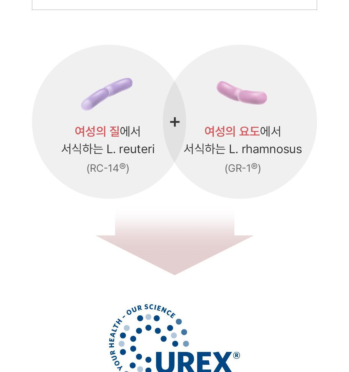 送KAKAO FRIENDS鑰匙扣✨Denps X KAKAO FRIENDS 私密益生菌·2個月裝🌸