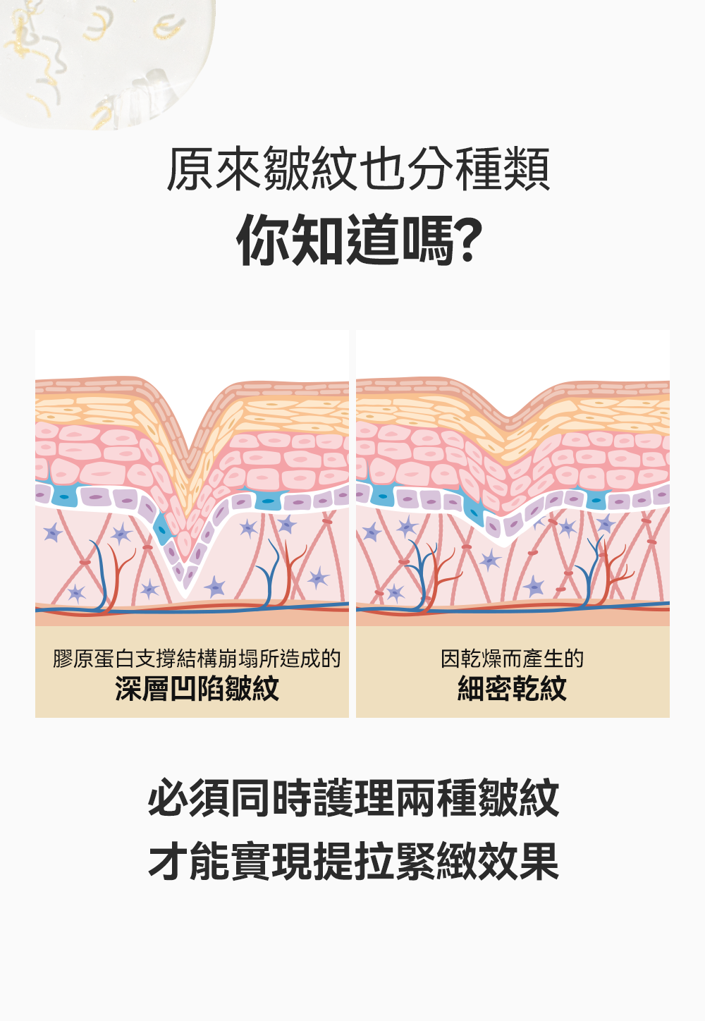 送寵物小精靈包包✨Sungboon Editor Silk Peptide Intensive Lifting Ampoule 專業級絲蛋白多胜肽x EGF 雙重修護高濃縮密集拉提安瓶精華🥚