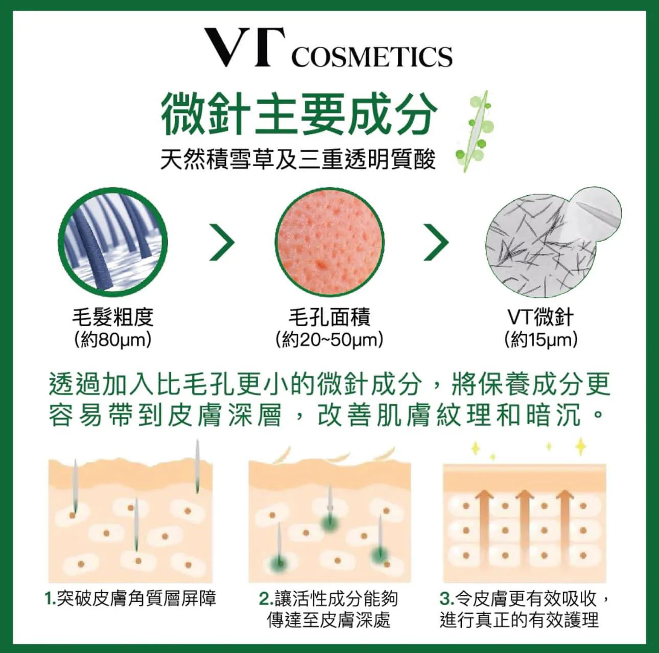 消炎修復 加強舒緩🌿VT 積雪草塗抹式微針精華100/300/700 針 |VT Pro Cica Reedle Shot 100/300/700
