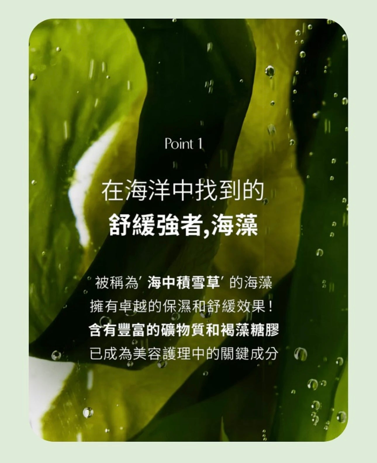 舒緩控油🌿Biodance清爽海藻深層舒緩全效膠原面膜💚| Refreshing Sea Kelp Real Deep Mask