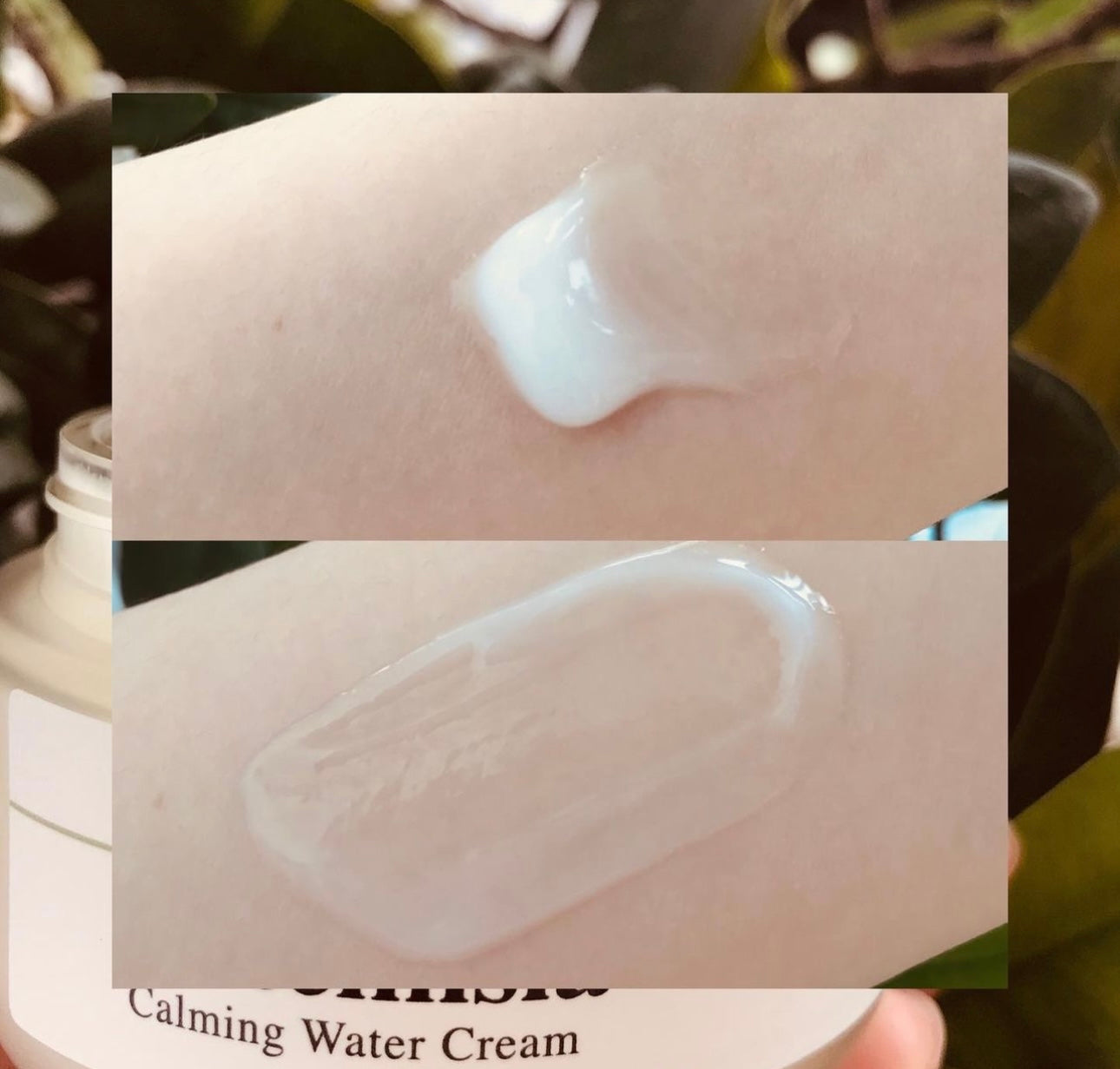 針對缺水型敏感肌舒敏補水| BRING GREEN 茵陳蒿鎮靜舒緩補水面霜🌟| 14天舒緩肌膚過敏🙋🏼♀️