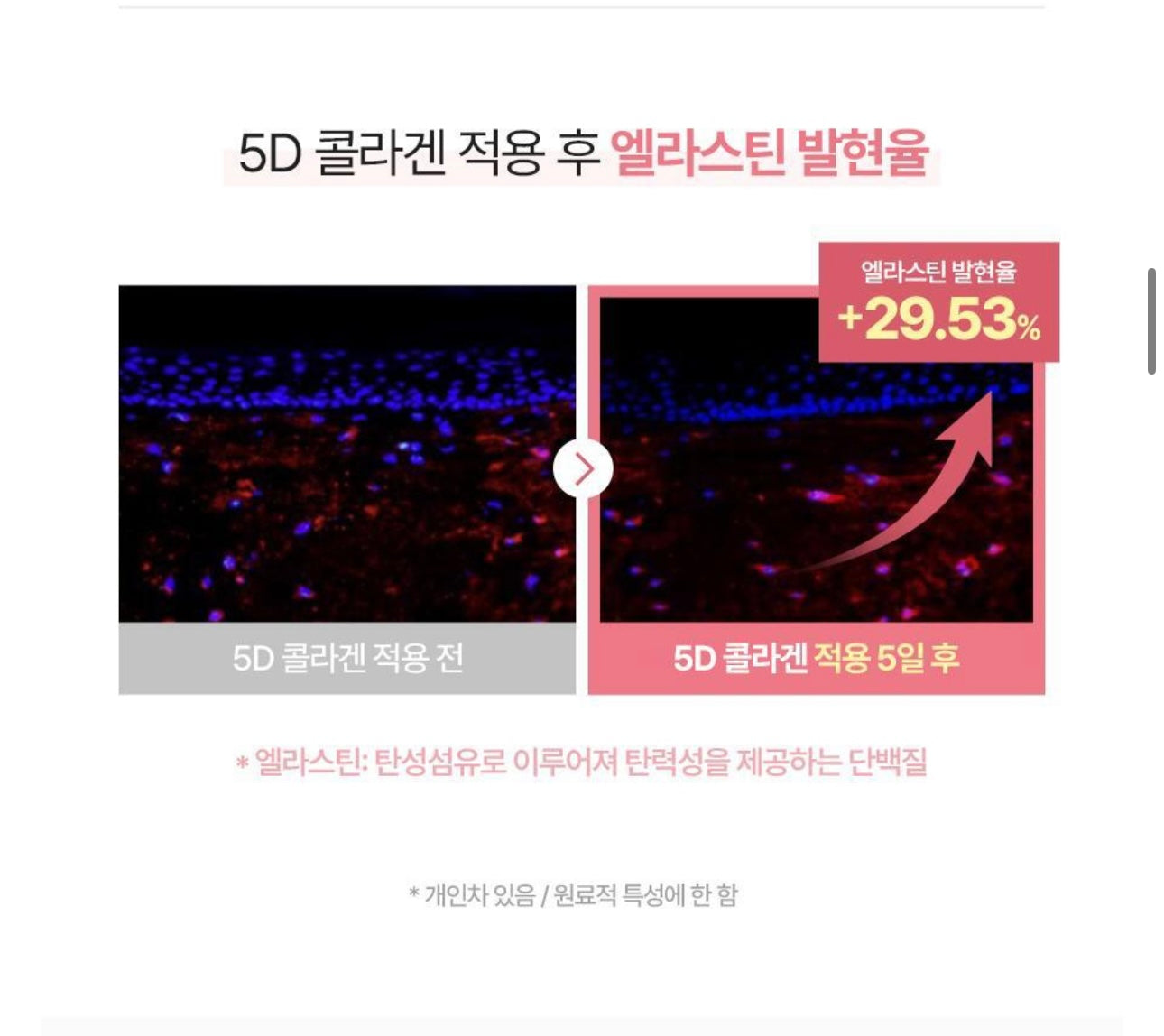 送眼部按摩儀✨2週即可淡細紋|Torriden低分子膠原蛋白彈力緊緻眼霜 Torriden Cellmazing Collagen Firming Eye Cream☁️