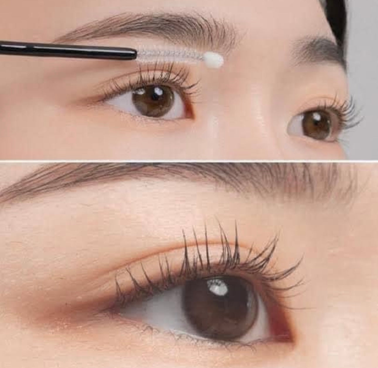 誰不想當睫毛精 👀 Farmstay Collagen Eyelash Serum 小藍管膠原蛋白睫毛生長精華✨