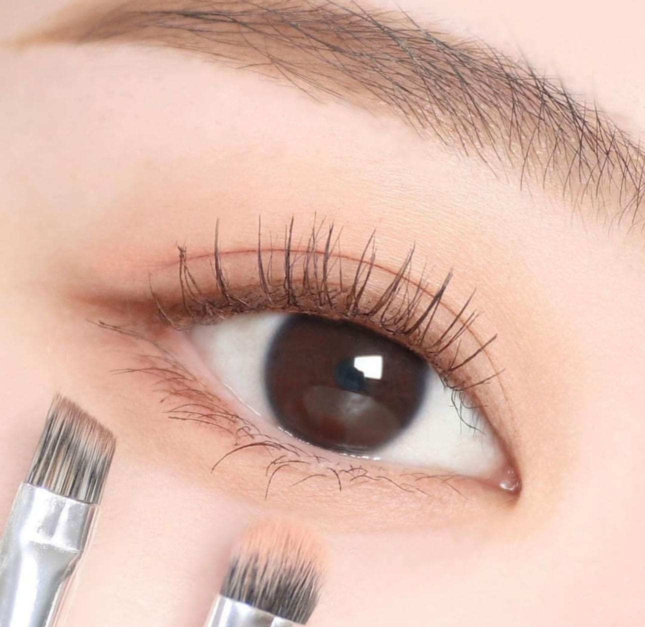 Olive young長期斷貨Item 宋智雅Pick🤎 Fillimilli 眼影掃套裝 eye makeup brush set 一套5枝連鏡✨