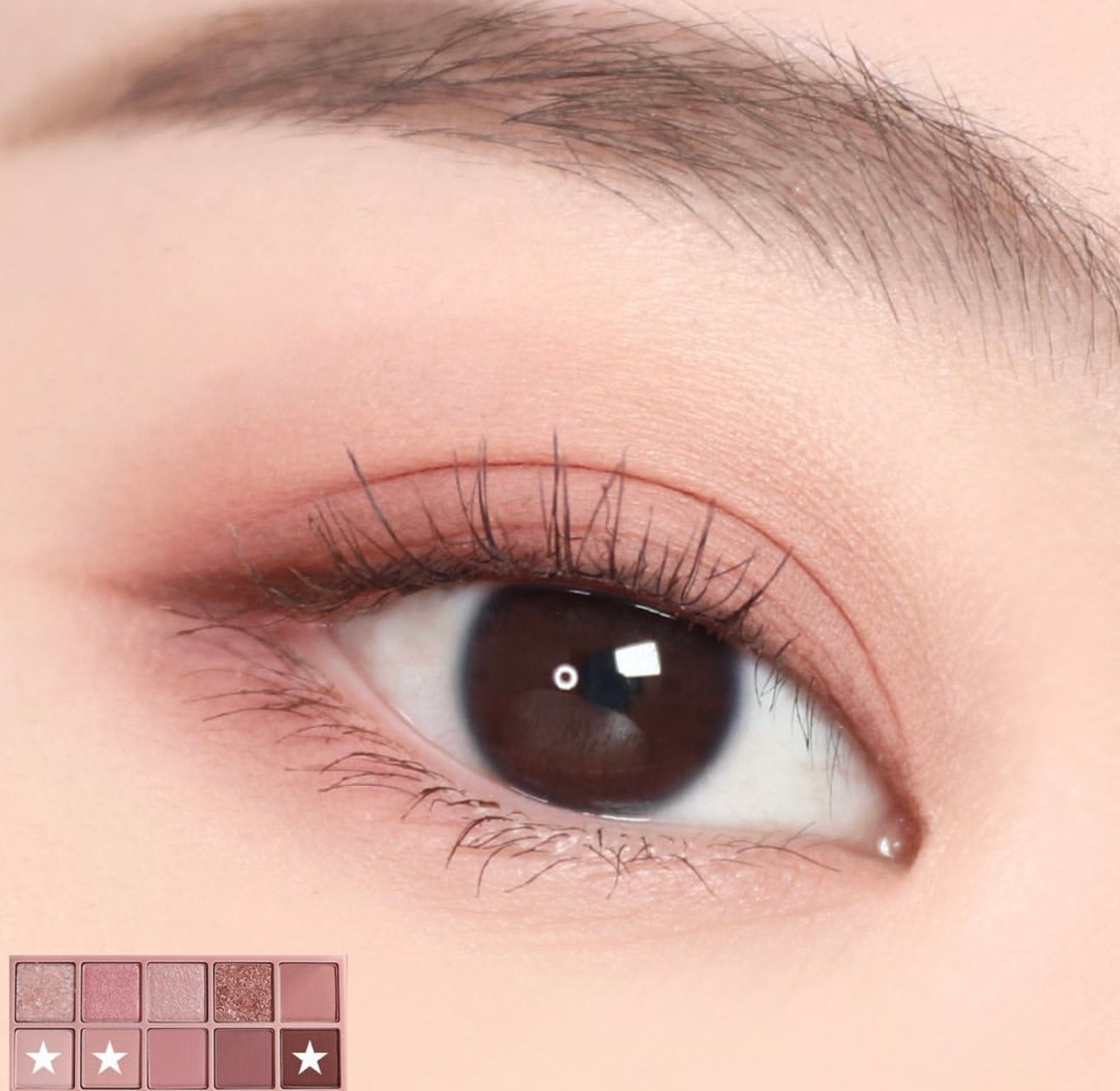 Romand 花園系列十色眼影 Better Than Palette 03 Rosebud Garden 乾燥玫瑰色🥀
