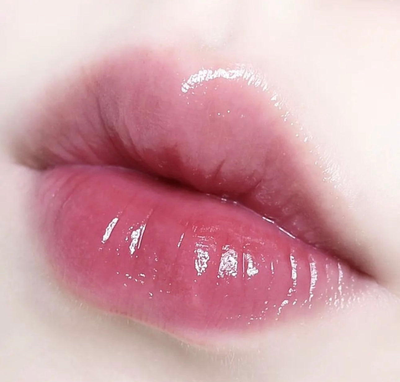 Peripera Water Bare Tint 蝴蝶結系列全新系列水潤透亮唇釉 🎀