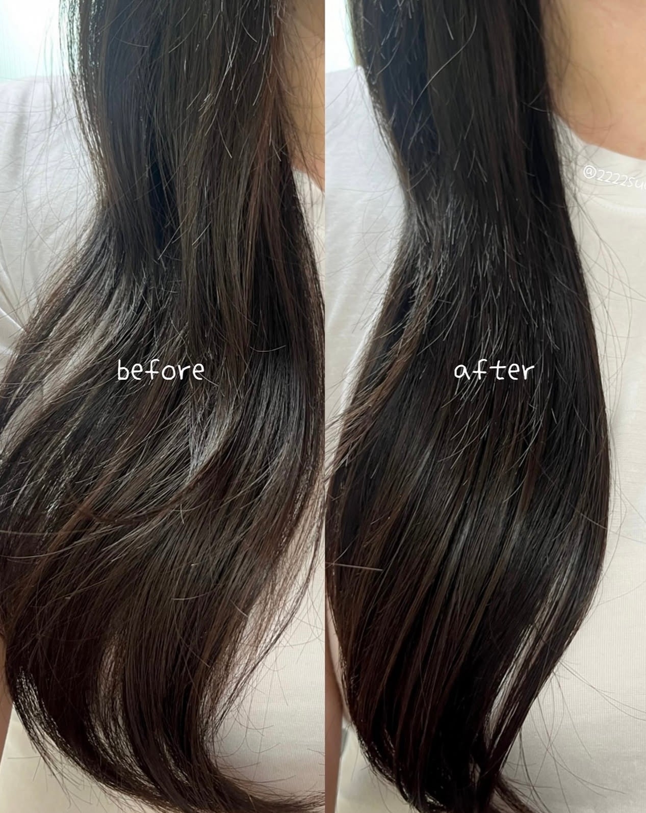 送頭皮筋胳梳+送髮膜❤️‍🔥Longtake 木質檀香強化護髮油 Sandalwood Intensive Hair Oil 🪵