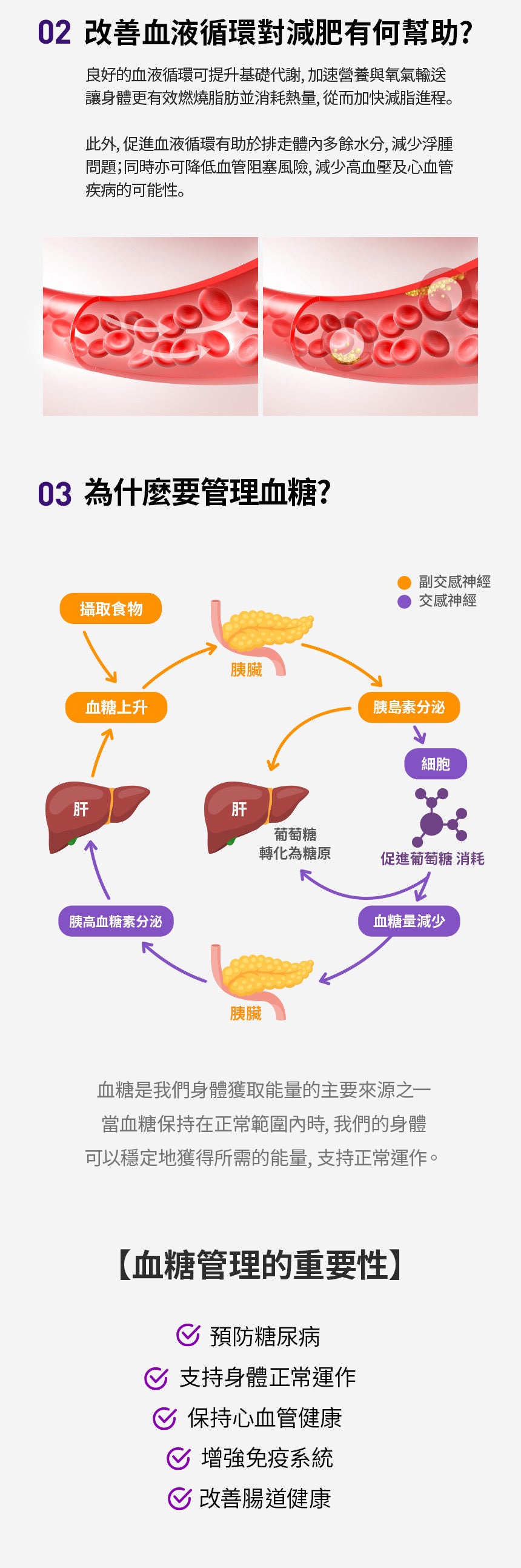 🌟 【大肚腩逆襲神器】SERYBURN 穩糖纖腩飲 V2 瞬效爆脂小紫飲💜 | 減少體脂及食慾 促進脂肪燃燒✨升級版減脂 x 降糖 x 清宿便配方✨