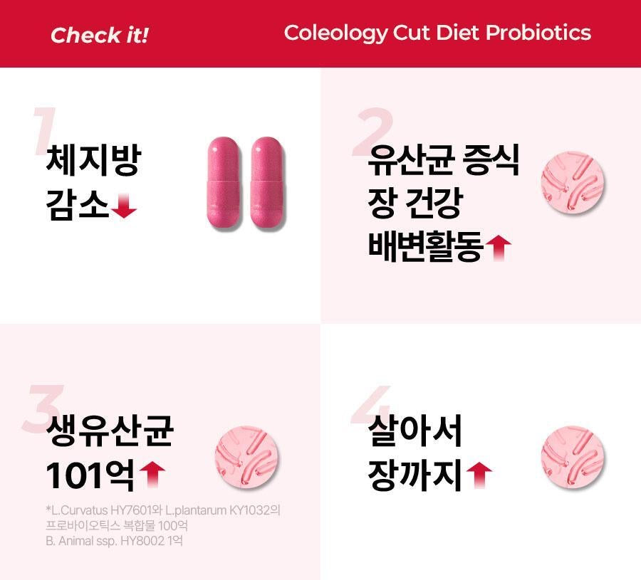 回購率第一的瘦身益生菌🔥Foodology 減脂排毒益生菌
