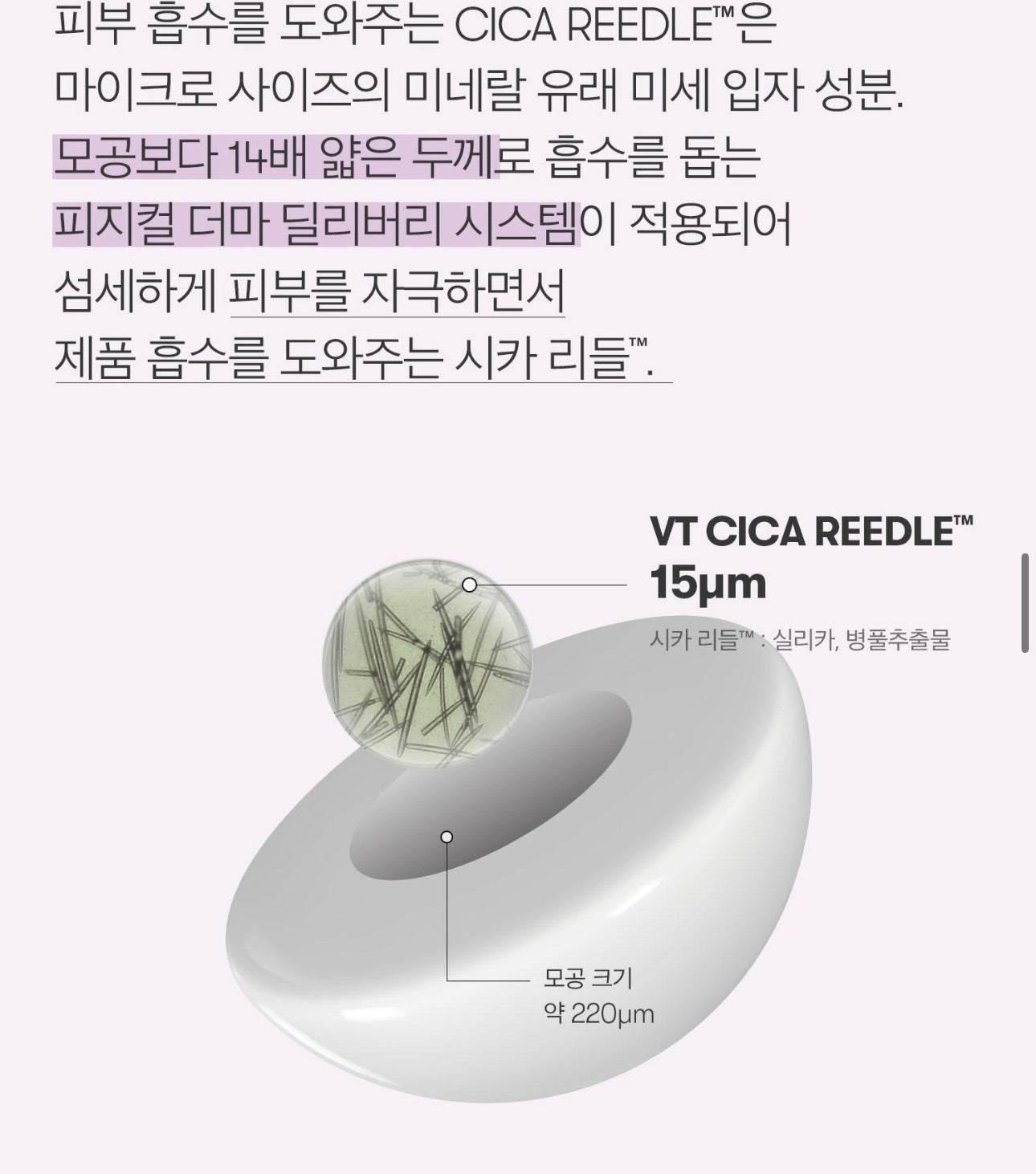 VT  頭皮賦能精華安瓶 300dL 💫| REEDLE SHOT HAIR BOOSTING AMPOULE 300dL | 強韌髮根|密集修護|輕盈不油膩✨