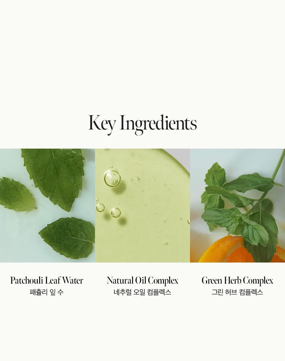 送10ml 旅行裝 ANILLO Patchouli Garden 高保濕修護髮精華🌿