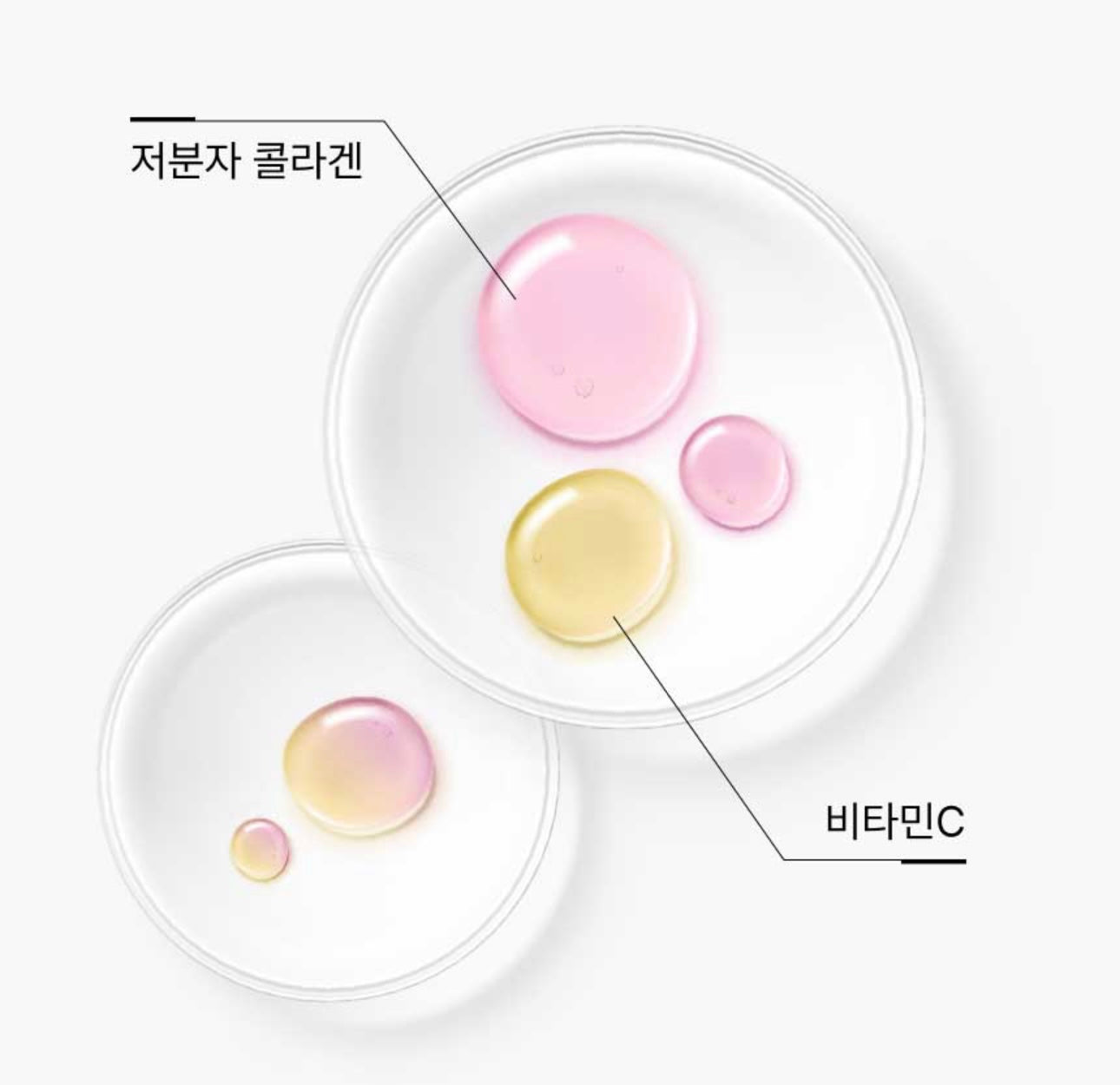 送膠原蛋白糖✨補充膠原蛋白🥚｜BB LAB Low Molecular Collagen S 晚間修護高效膠原蛋白粉| 30天肌膚彈潤凍齡秘方🐣