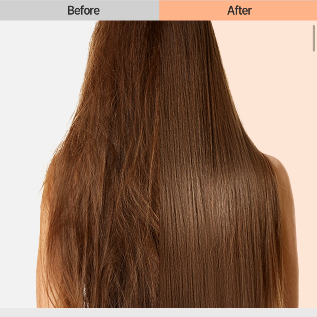 Mise En Scene 高度濃完美修復護髮精油👱🏻‍♀️