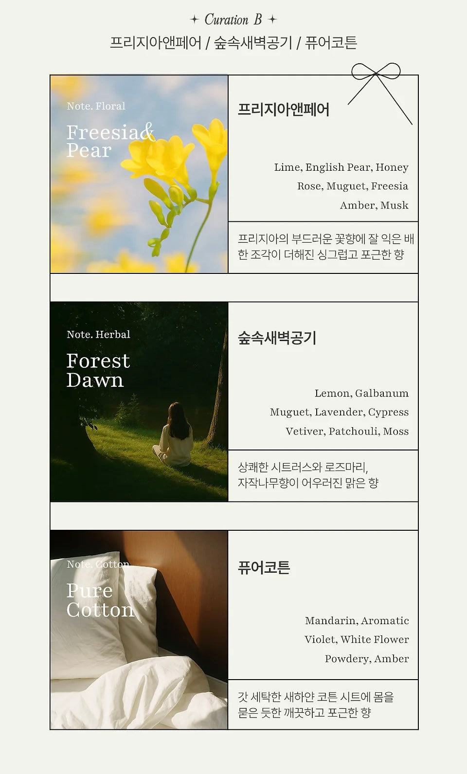 Cocod’or 限定香氛擴香瓶禮盒50ml ×3🎁