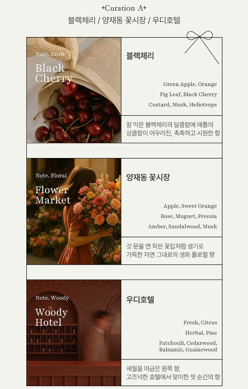 Cocod’or 限定香氛擴香瓶禮盒50ml ×3🎁