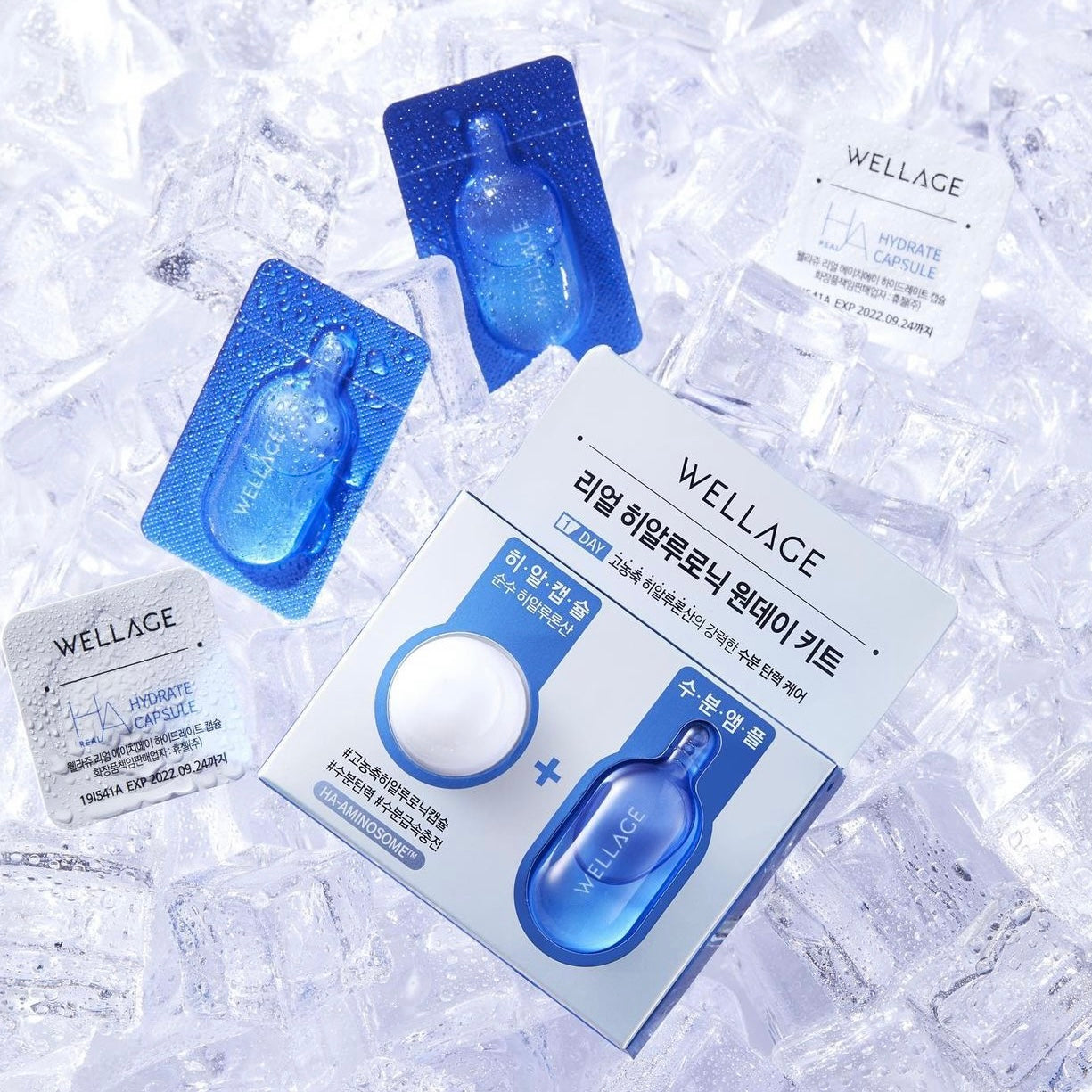 Wellage急救玻尿酸乾凍濃縮精華💙💊 | Wellage Real HA Hydrate One Day Kit Set 💧