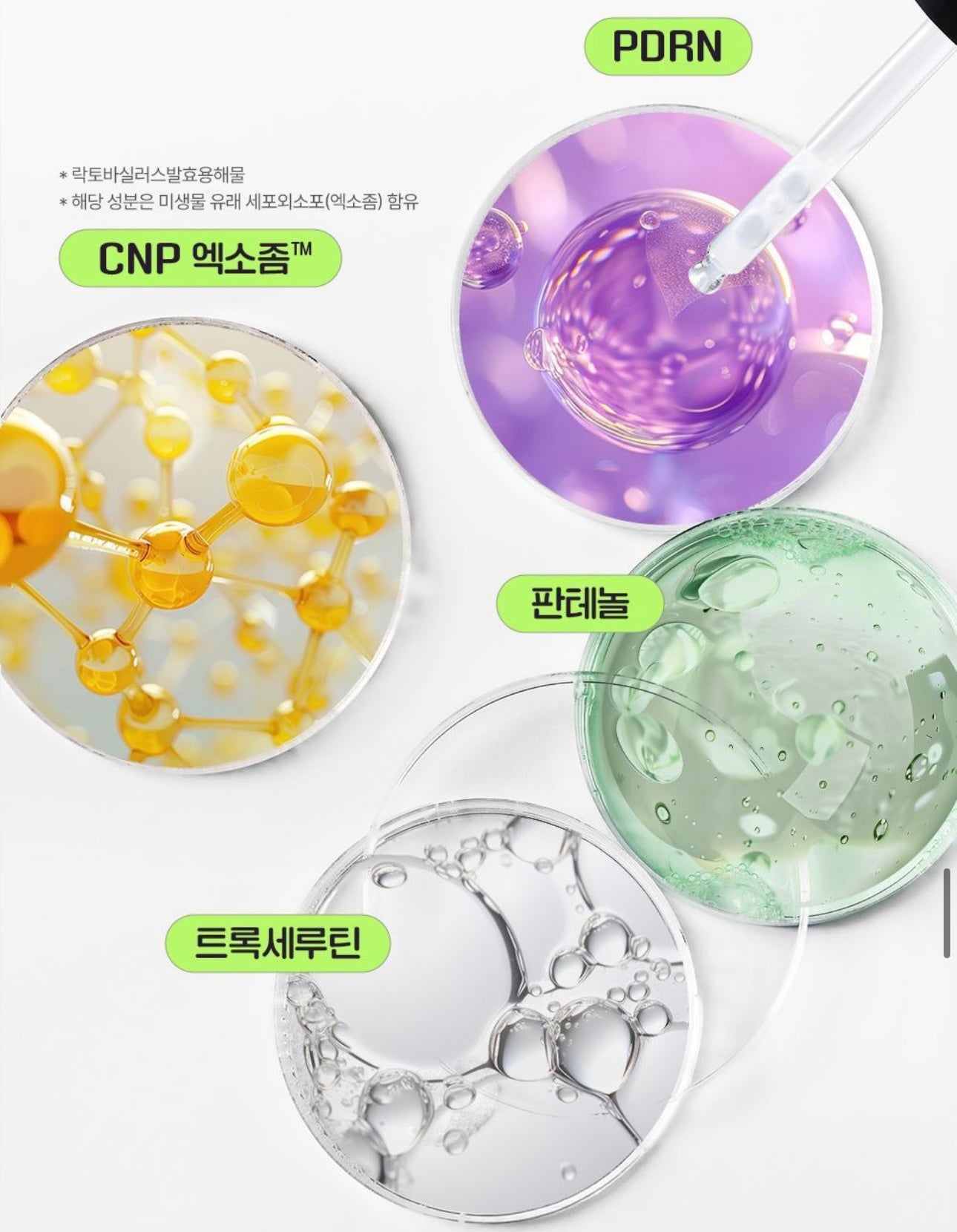 共90ml✨我們這一家xCNP Laboratory 逆齡撫紋全效精華CNP Derma Answer Active Boost Ampule ✨