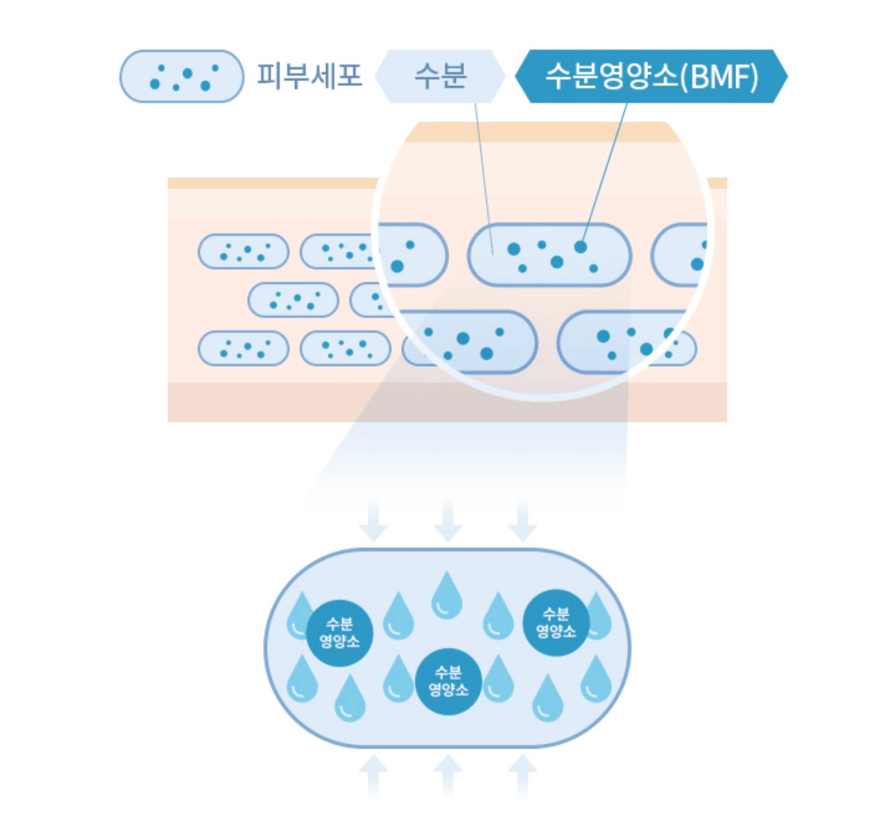 推薦乾敏肌/屏障受損⭐️| Aestura 屏障修復舒緩保濕面霜 | Atobarrier 365 Cream💙