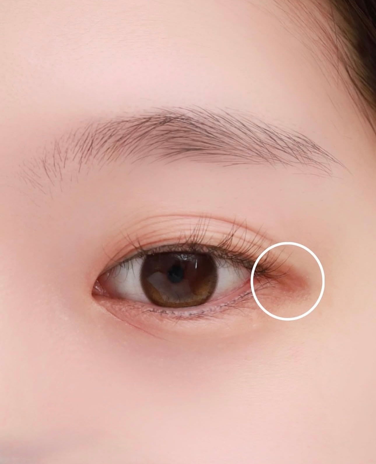 Beauty of Joseon 人參視黃醇煥活提亮眼部精華🤍