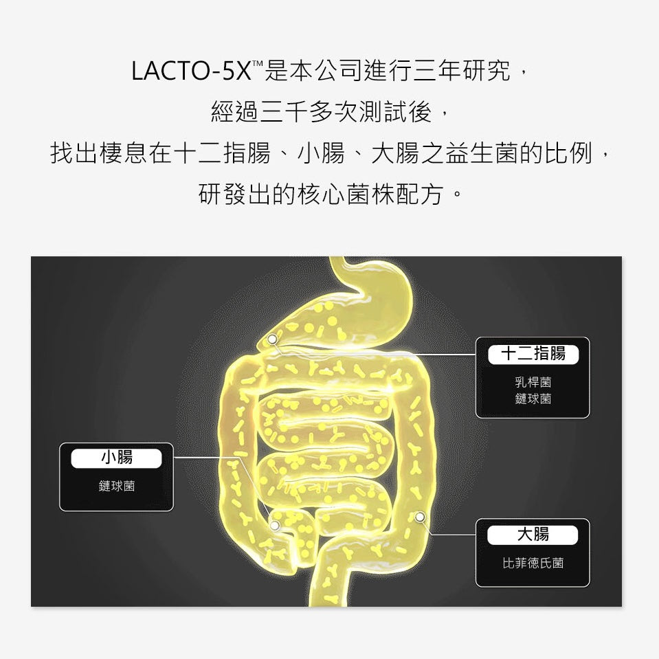 韓國最大益生菌製造商💛LACTO FIT 鍾根堂 5X黃金乳酸益生菌| 韓國全國銷量No.1🥇