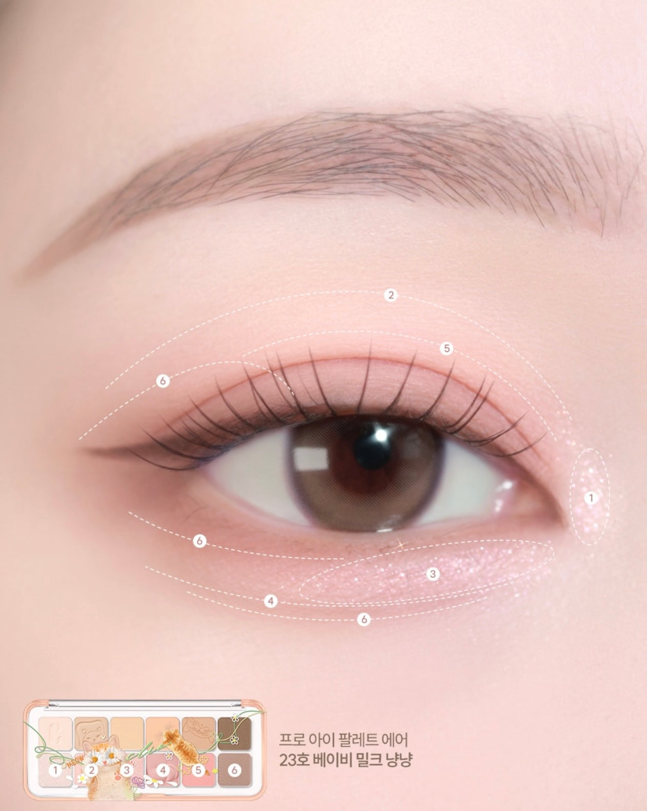 絕美斷貨王華麗回歸🐾貓奴們請尖叫😍 CLIO 萌萌貓咪十二色眼影盤🐈 CLIO Pro Eye Palette Air |  送超可愛短毛橘貓立體亞克力裝飾