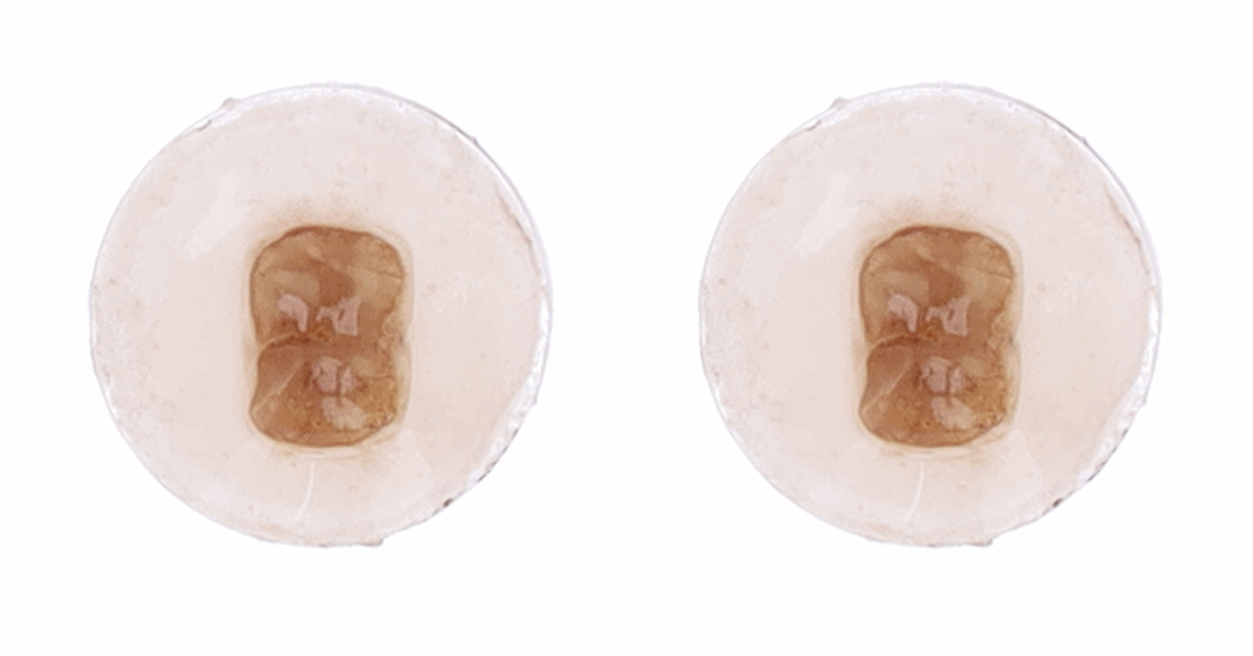 Re:Brush美白牙齒套裝 🦷Whitening & Brighting Toothpaste