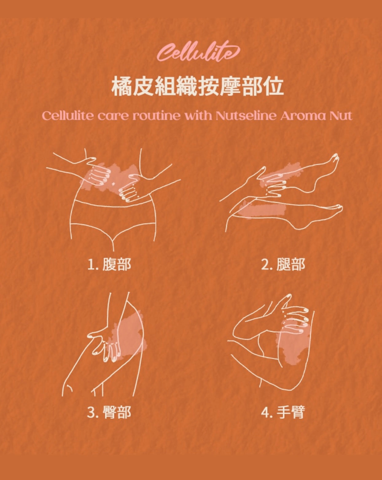 一上市即賣斷🫠Nutseline香氛堅果瘦臉刮痧精華💖 緊緻輪廓、促進循環與改善橘皮⭐️